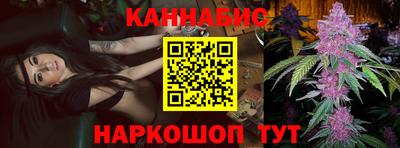 сатива Новозыбков