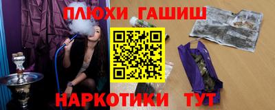 сатива Новозыбков